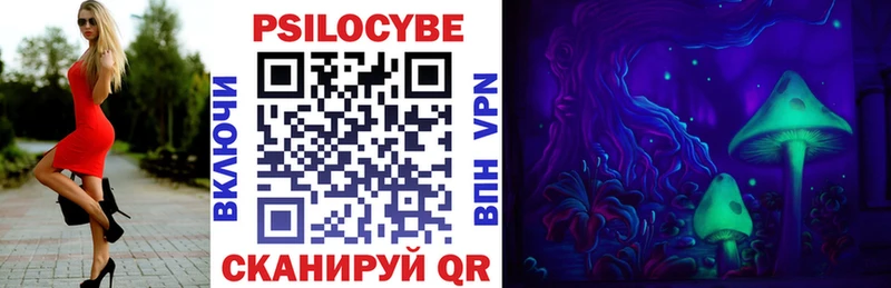 Галлюциногенные грибы Psilocybe  Бронницы 